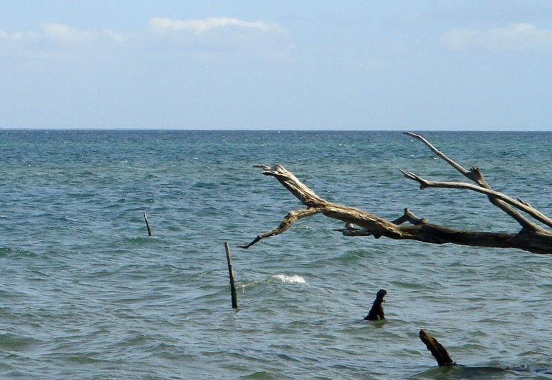 DSC01039_edited-1