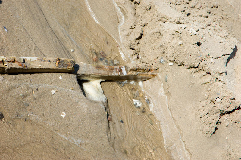 DSC_1321-1
