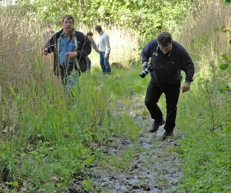 DSC_1322_edited-1