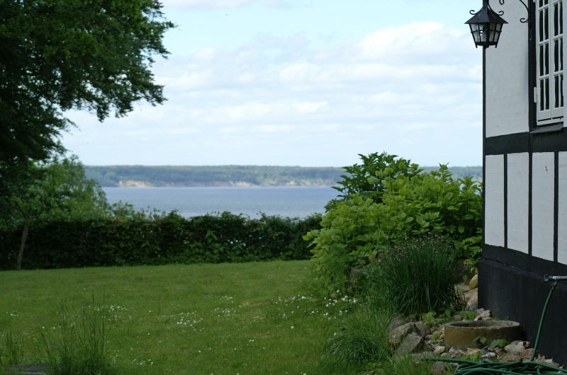 PICT2646_edited-1