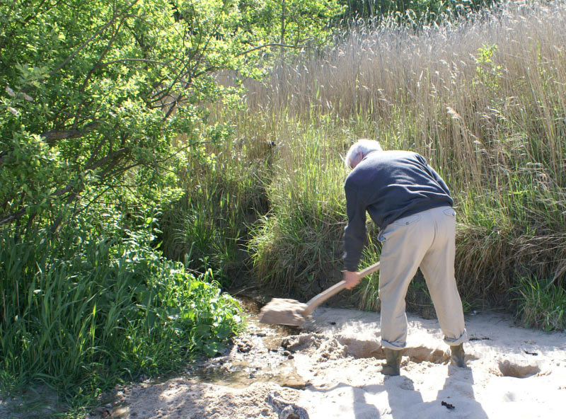 PICT2703_edited-1