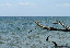 DSC01039_edited-1