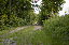 DSC_1301_edited-1