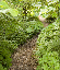 DSC_1302_edited-1