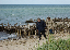 DSC_1304_edited-2