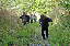 DSC_1324_edited-1