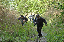 DSC_1325_edited-1