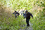 DSC_1325_edited-2