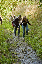 DSC_1330_edited-1