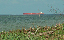 PICT0145_edited-1