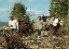 PICT0149_edited-1