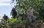 PICT2702_edited-1