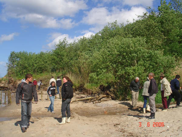 DSC00979_edited-1