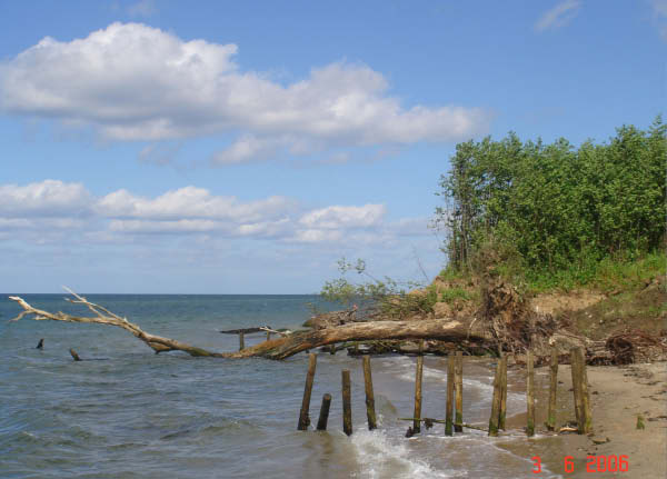 DSC00984_edited-1