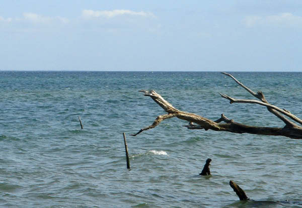 DSC01039_edited-1
