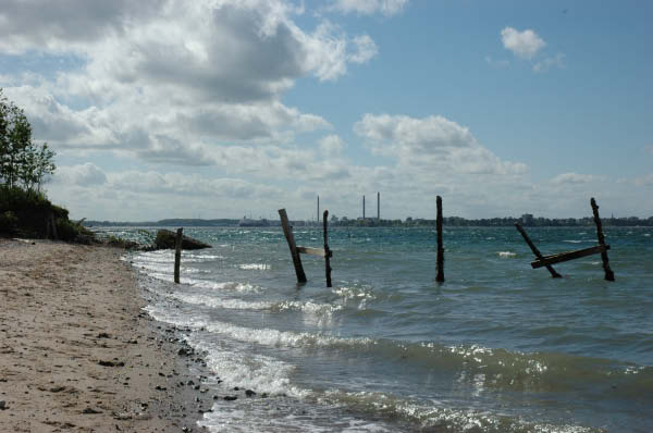 DSC_1311_edited-1
