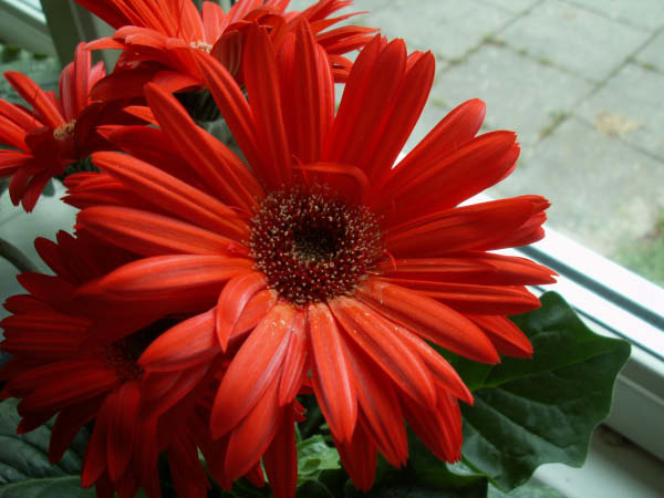 PICT0141