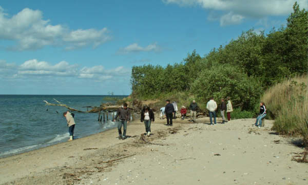 PICT0157_edited-1