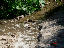 DSC01041_edited-1