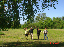 DSC01054_edited-1