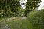 DSC_1301_edited-1