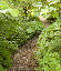 DSC_1302_edited-1