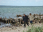 DSC_1304_edited-1