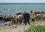 DSC_1304_edited-2