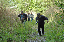 DSC_1324_edited-1