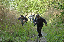 DSC_1325_edited-1