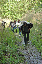 DSC_1326_edited-1