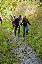 DSC_1330_edited-1