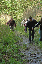 DSC_1332_edited-1