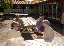 DSC_1418_edited-1