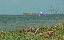 PICT0145_edited-1