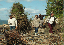 PICT0149_edited-1