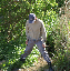 PICT2704_edited-1