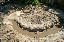 PICT2706_edited-1